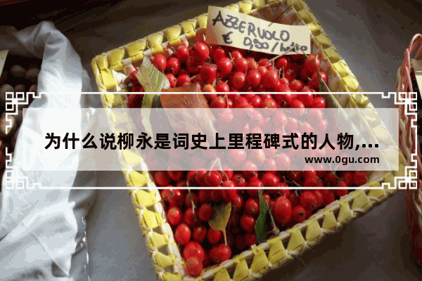 为什么说柳永是词史上里程碑式的人物,光遇光间酒琴谱