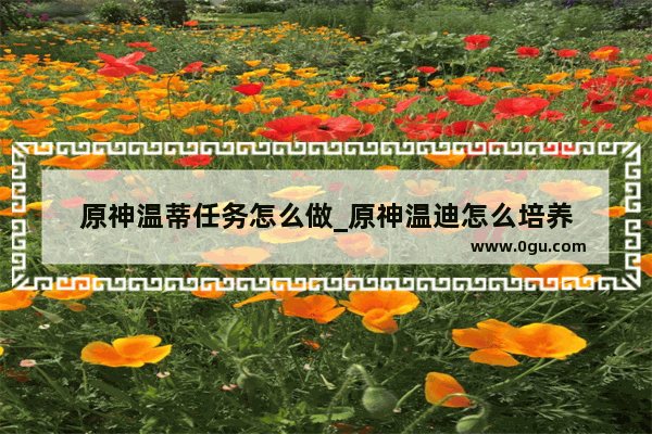 原神温蒂任务怎么做_原神温迪怎么培养