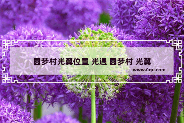 圆梦村光翼位置 光遇 圆梦村 光翼