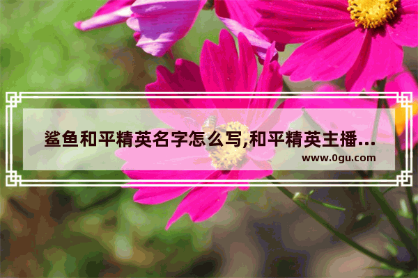 鲨鱼和平精英名字怎么写,和平精英主播名字一