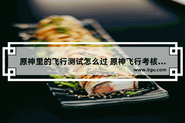 原神里的飞行测试怎么过 原神飞行考核攻略