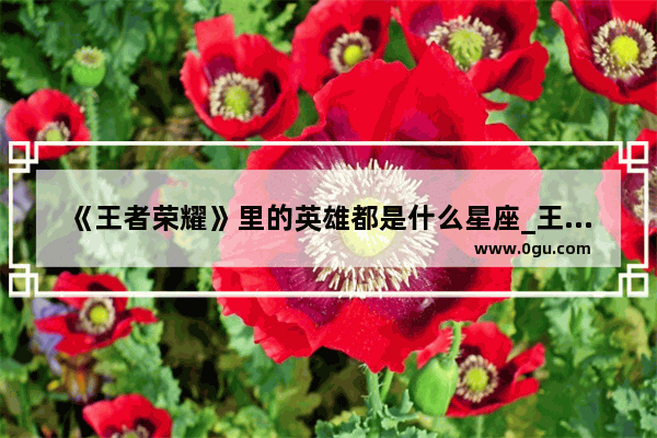 《王者荣耀》里的英雄都是什么星座_王者荣耀辅助射手情侣名字