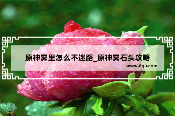 原神雾里怎么不迷路_原神雾石头攻略