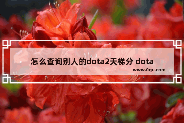 怎么查询别人的dota2天梯分 dota2查询天梯积分