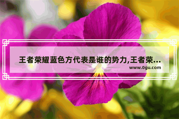 王者荣耀蓝色方代表是谁的势力,王者荣耀势力