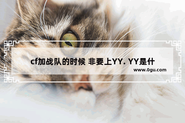 cf加战队的时候 非要上YY. YY是什么 怎么上啊?急,穿越火线战队yy