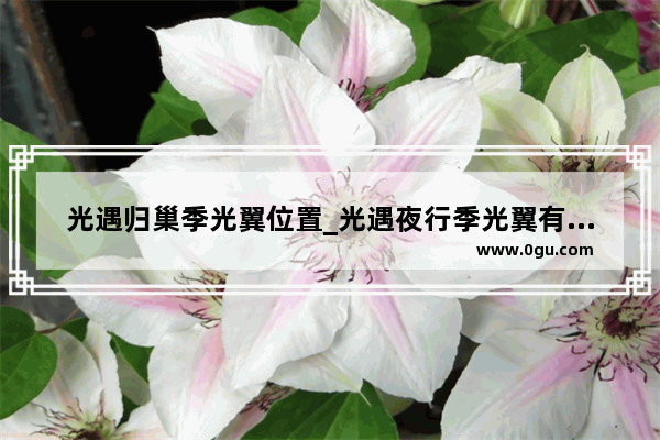 光遇归巢季光翼位置_光遇夜行季光翼有几个