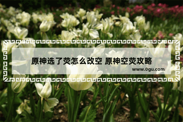 原神选了荧怎么改空 原神空荧攻略