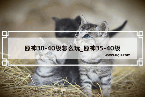 原神30-40级怎么玩_原神35-40级怎么度过
