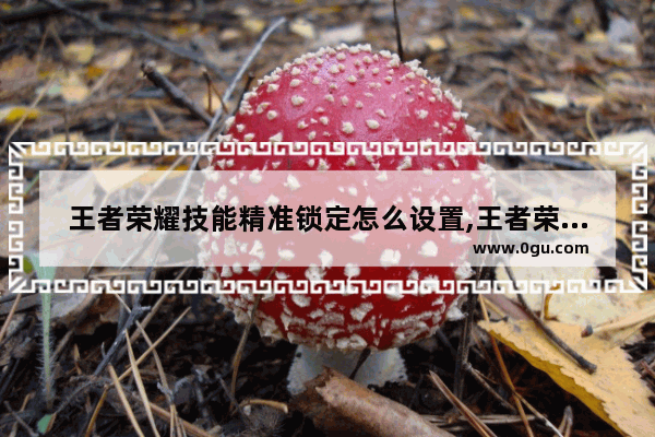 王者荣耀技能精准锁定怎么设置,王者荣耀技能锁定