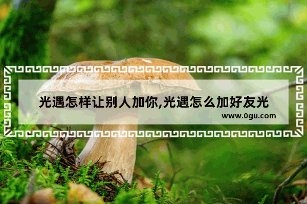 光遇怎样让别人加你,光遇怎么加好友光