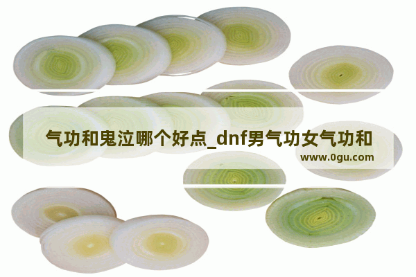 气功和鬼泣哪个好点_dnf男气功女气功和鬼泣哪个好 纯刷图