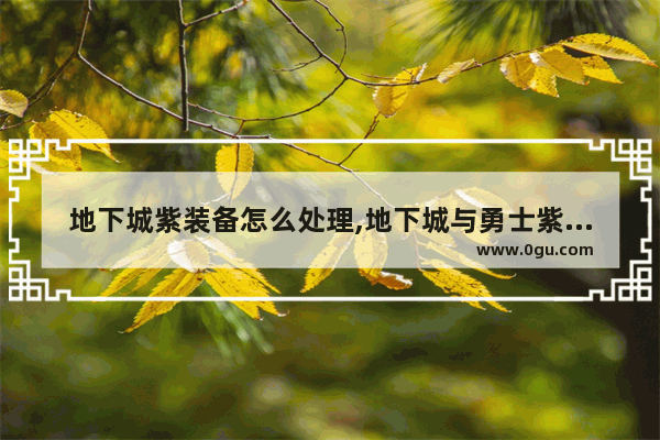 地下城紫装备怎么处理,地下城与勇士紫装价格