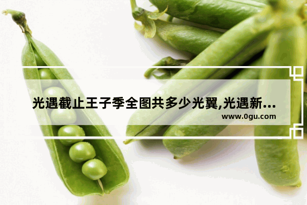 光遇截止王子季全图共多少光翼,光遇新王子光翼