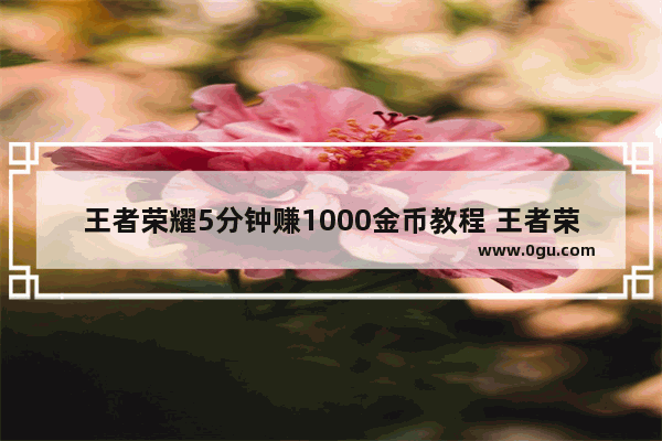 王者荣耀5分钟赚1000金币教程 王者荣耀赚多少钱