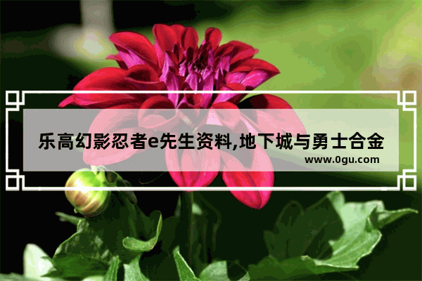 乐高幻影忍者e先生资料,地下城与勇士合金战士外号