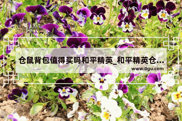 仓鼠背包值得买吗和平精英_和平精英仓鼠灰灰m4皮肤手感好吗