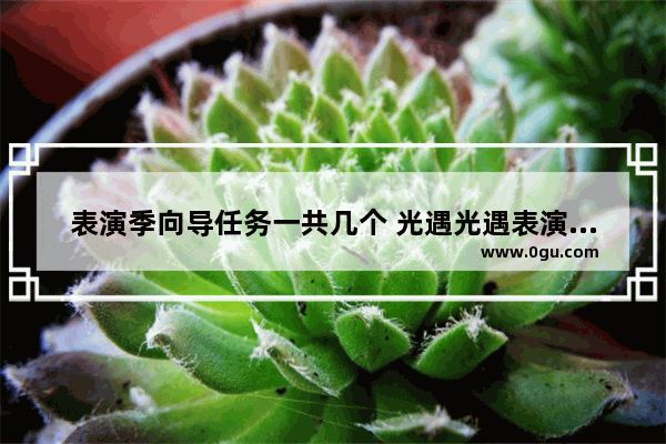 表演季向导任务一共几个 光遇光遇表演季有几个位置