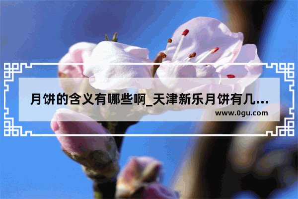 月饼的含义有哪些啊_天津新乐月饼有几个店