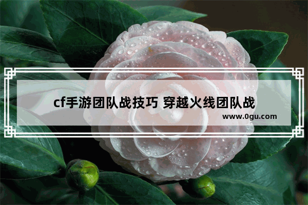 cf手游团队战技巧 穿越火线团队战