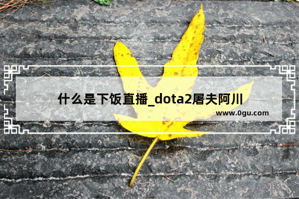 什么是下饭直播_dota2屠夫阿川