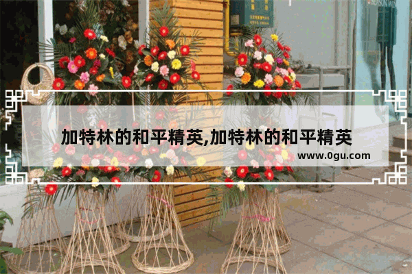 加特林的和平精英,加特林的和平精英