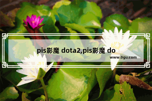 pis影魔 dota2,pis影魔 dota2