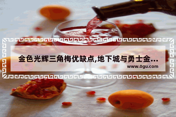金色光辉三角梅优缺点,地下城与勇士金色辉煌套装