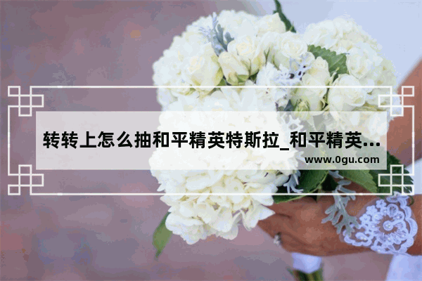 转转上怎么抽和平精英特斯拉_和平精英特斯拉为什么只返场一天