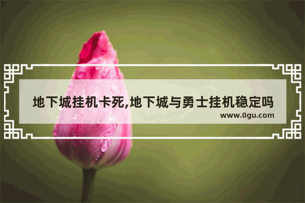地下城挂机卡死,地下城与勇士挂机稳定吗