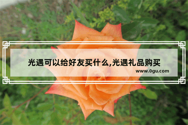 光遇可以给好友买什么,光遇礼品购买