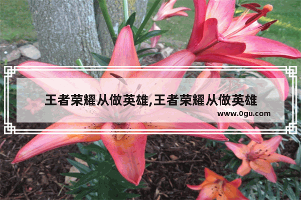王者荣耀从做英雄,王者荣耀从做英雄