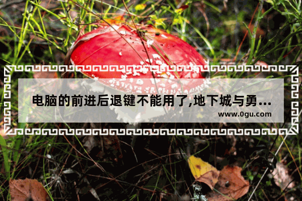 电脑的前进后退键不能用了,地下城与勇士前进后退按键