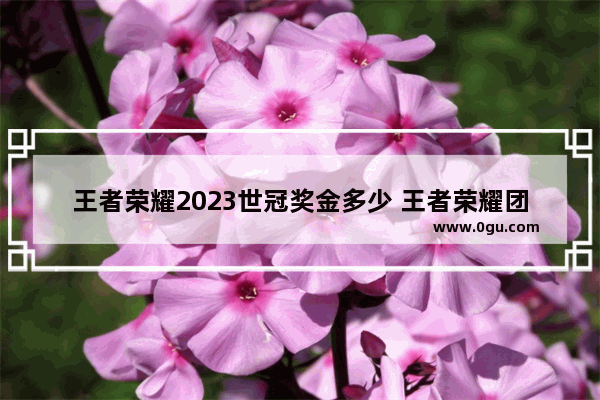 王者荣耀2023世冠奖金多少 王者荣耀团队 年终奖