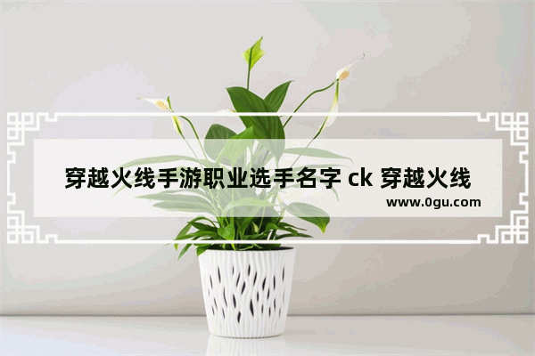 穿越火线手游职业选手名字 ck 穿越火线