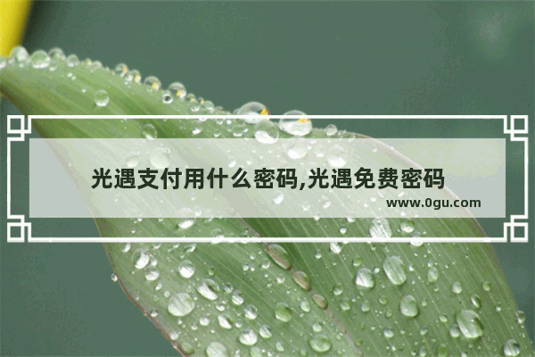 光遇支付用什么密码,光遇免费密码