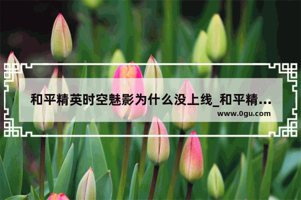 和平精英时空魅影为什么没上线_和平精英哥斯拉为什么没有上线