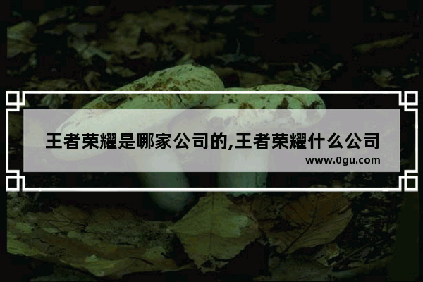 王者荣耀是哪家公司的,王者荣耀什么公司