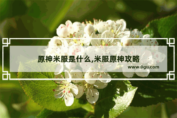 原神米服是什么,米服原神攻略