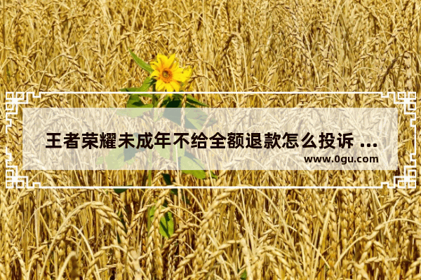 王者荣耀未成年不给全额退款怎么投诉 王者荣耀 游客服