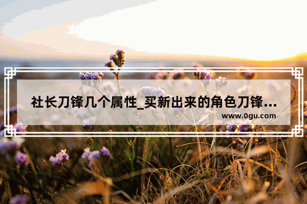 社长刀锋几个属性_买新出来的角色刀锋送东西吗