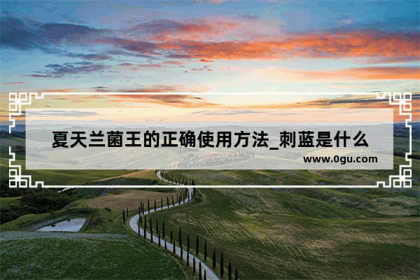 夏天兰菌王的正确使用方法_刺蓝是什么