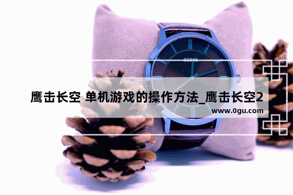 鹰击长空 单机游戏的操作方法_鹰击长空2怎么安装