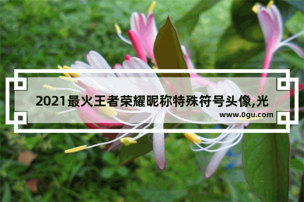 2021最火王者荣耀昵称特殊符号头像,光遇头像符号