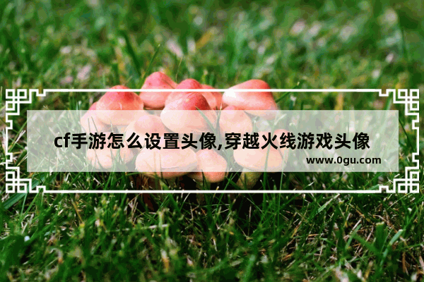 cf手游怎么设置头像,穿越火线游戏头像