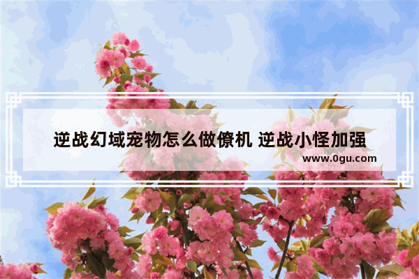 逆战幻域宠物怎么做僚机 逆战小怪加强