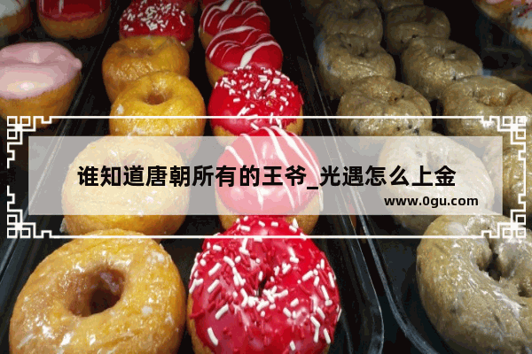 谁知道唐朝所有的王爷_光遇怎么上金