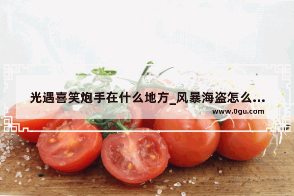 光遇喜笑炮手在什么地方_风暴海盗怎么驯服海怪