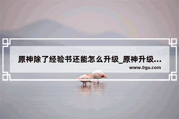 原神除了经验书还能怎么升级_原神升级经验怎么办