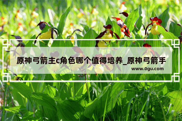原神弓箭主c角色哪个值得培养_原神弓箭手培养谁最好